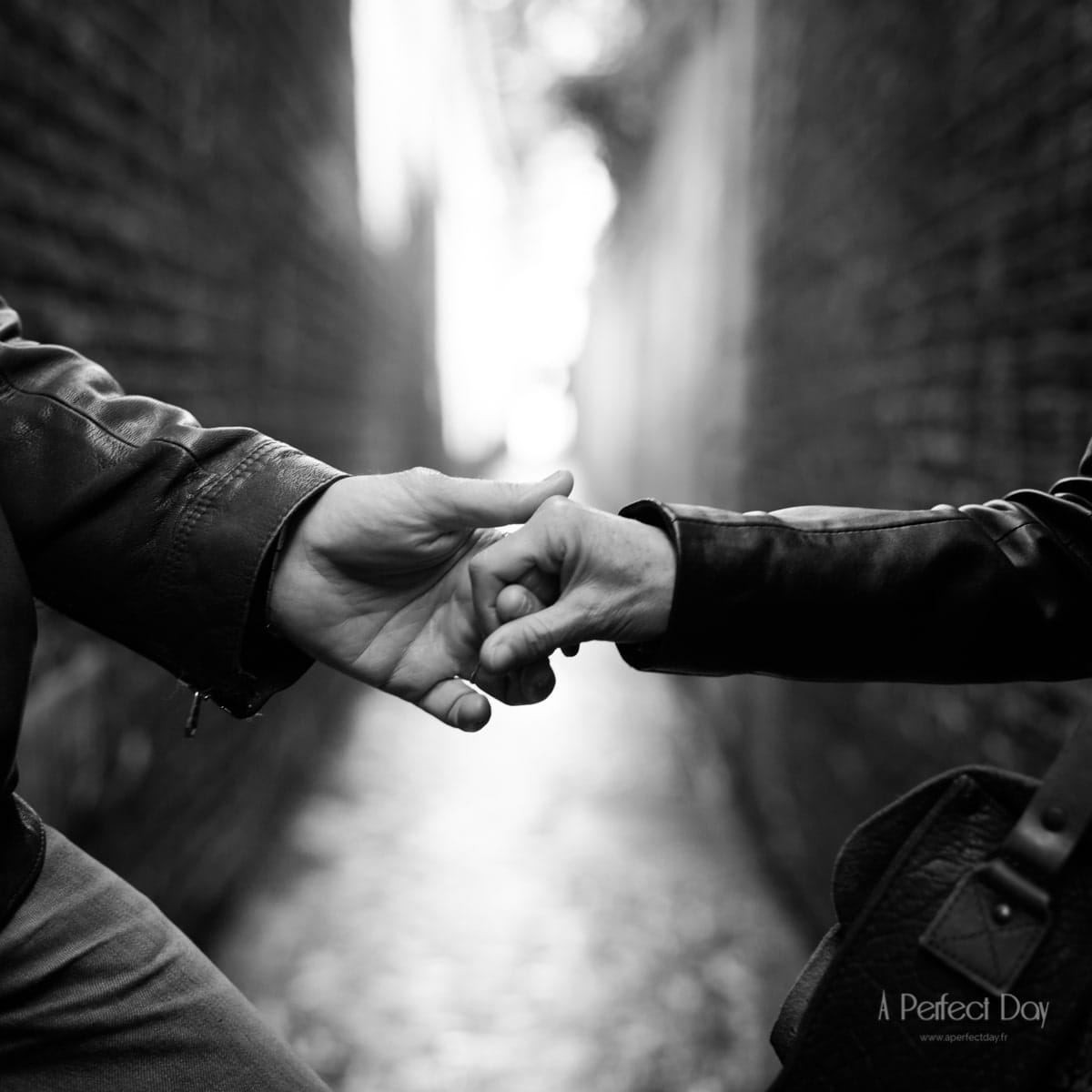 photographe couple à Lille