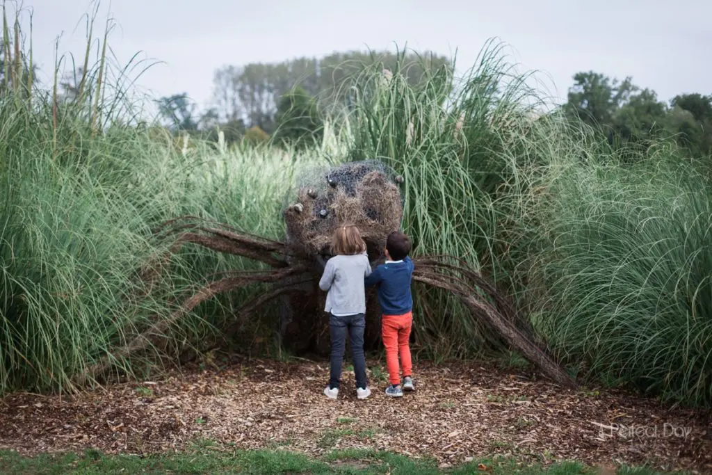 Photographe famille Lille nord