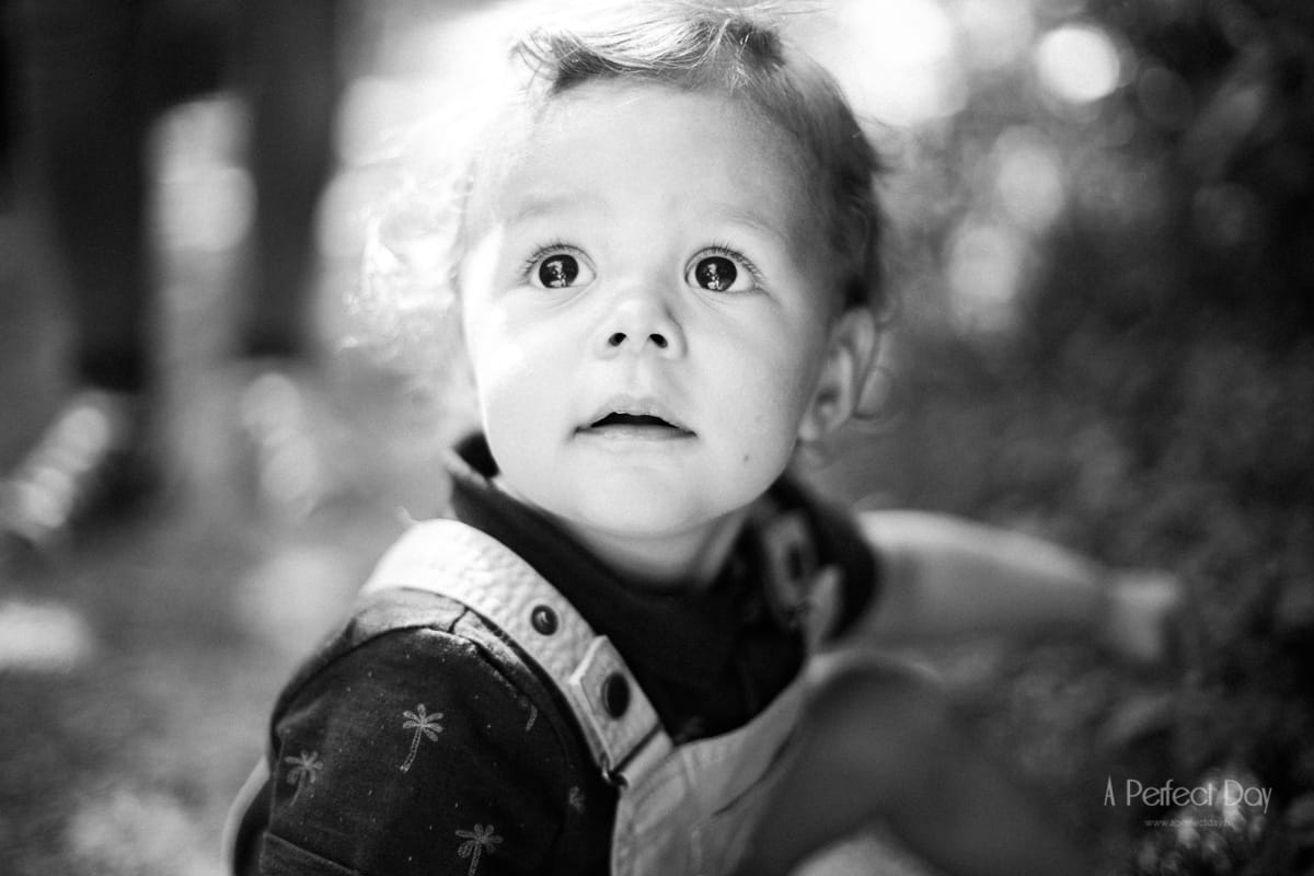 photographe portrait, lille