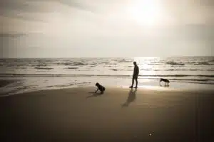 seance photo famille à la plage