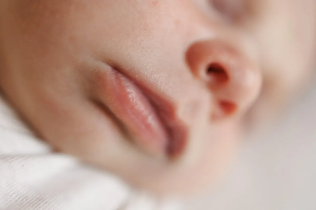 Photographe naissance lille