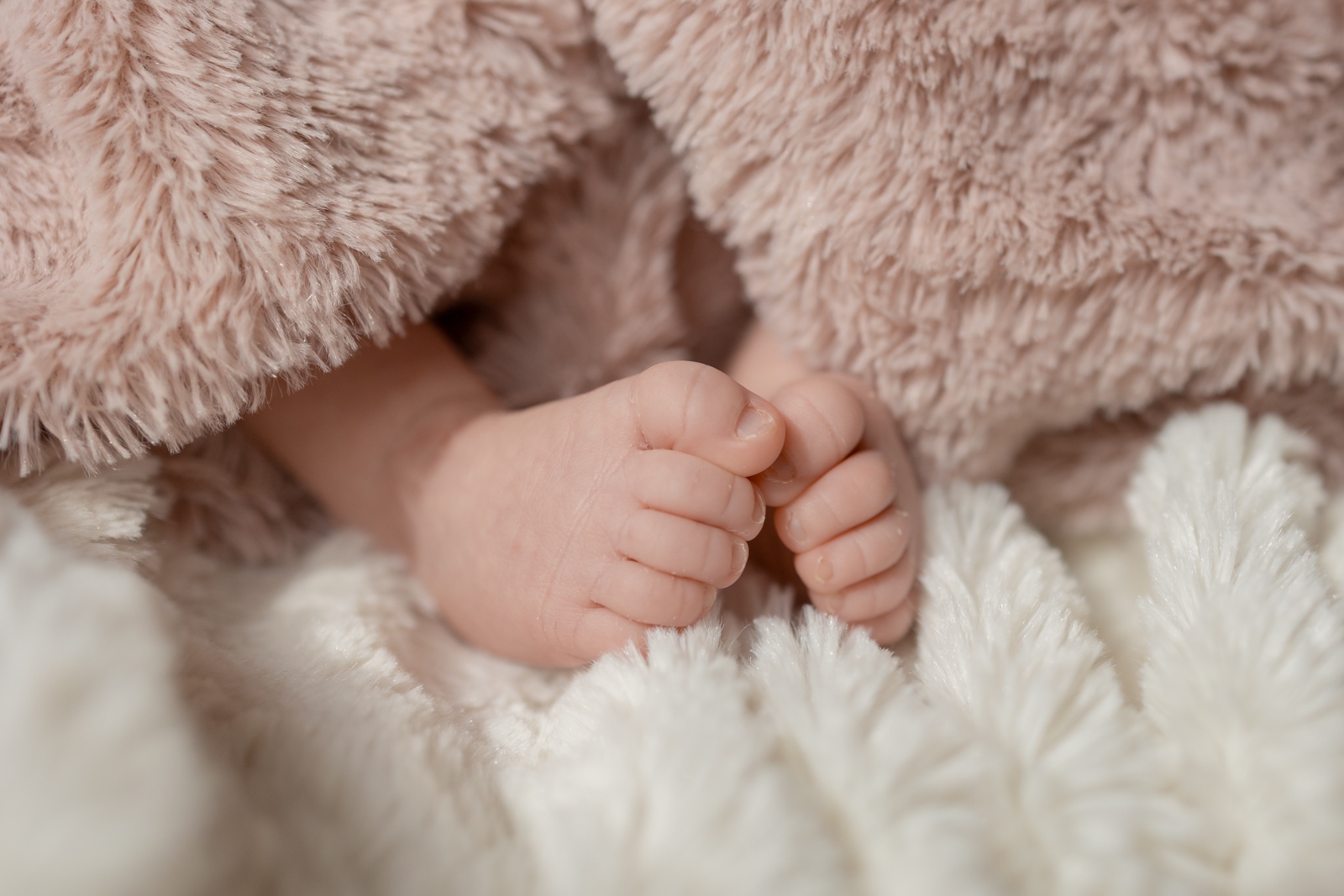 Pieds de bebe sous couverture rose photographe naissance Arras